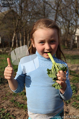 Image of little girl chewing young sprout of a rhubard