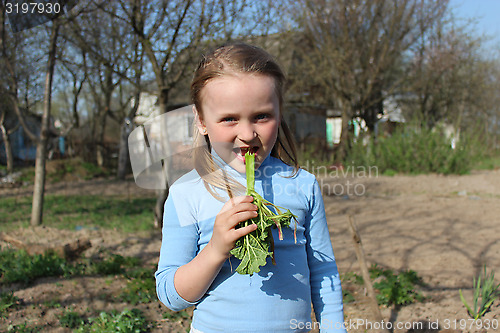 Image of little girl chewing young sprout of a rhubard