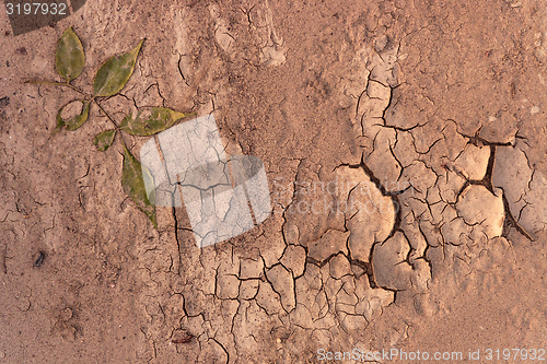 Image of Dry soil closeup before rain