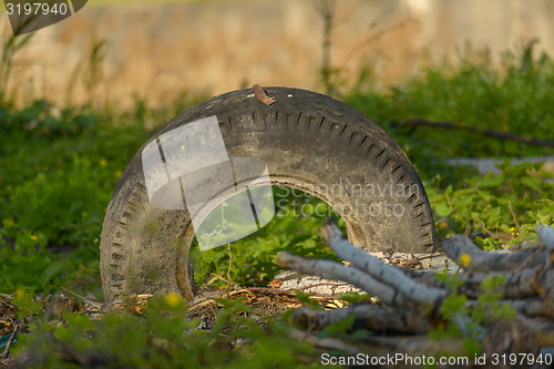 Image of Truck tyre in the mud