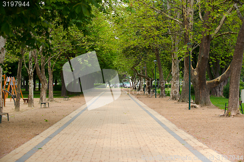 Image of Small Pathway going trough the park