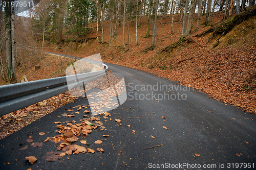 Image of Road in autumn forest landscape