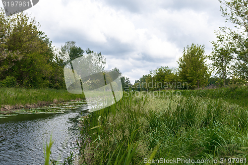 Image of Small river with green grass