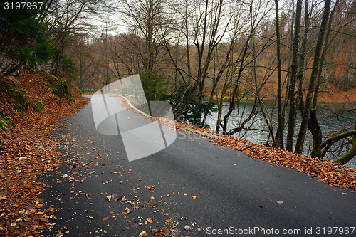 Image of Road in autumn forest landscape