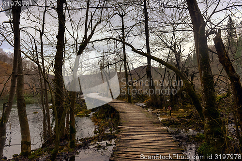 Image of Wooden path trough the lakes