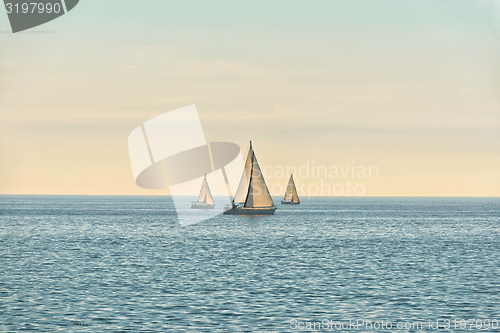 Image of Sail of a sailing boat