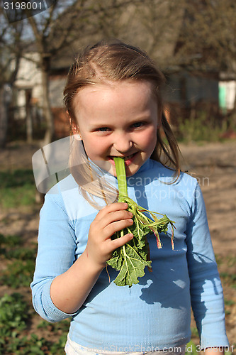 Image of little girl chewing young sprout of a rhubard