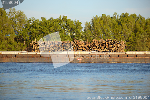 Image of Wooden logs transported on boat