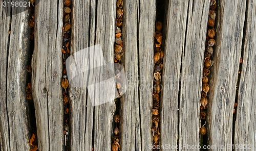 Image of Closeup photo of wooden floor panels