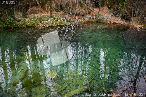 Image of Small Pond at Plitvice lakes national park