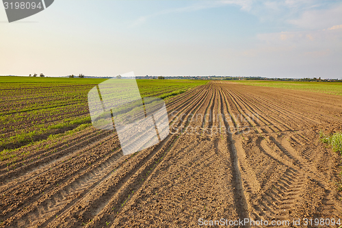 Image of Agriculture