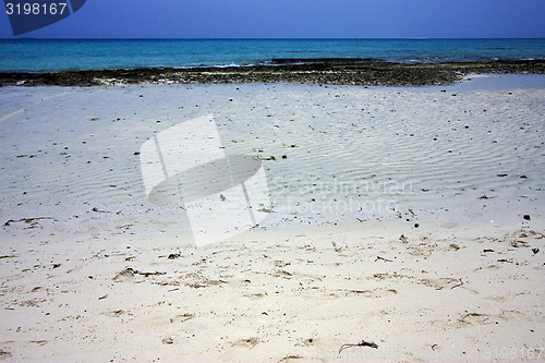Image of beach and sand in sand bank  tanzania 