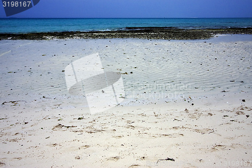 Image of beach and sand in sand bank  tanzania 