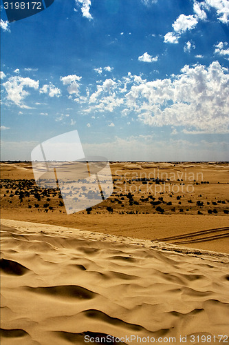 Image of  dune in the sahara desert