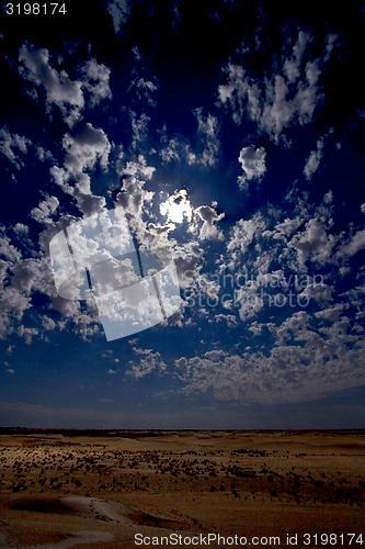 Image of dune in the sahara