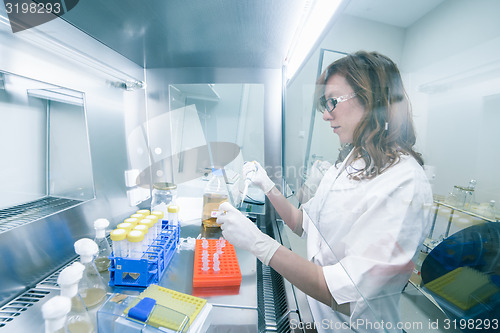 Image of Life scientist researching in the laboratory.