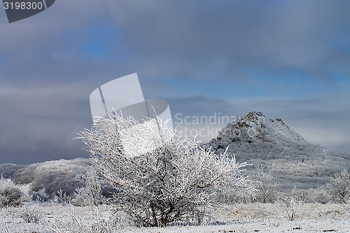 Image of Winter Landscape