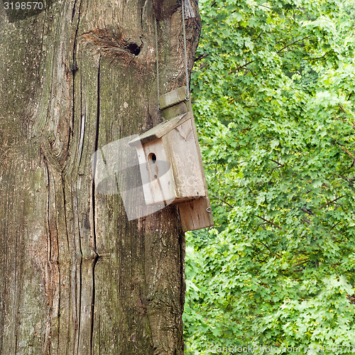 Image of Nesting Box on a tree