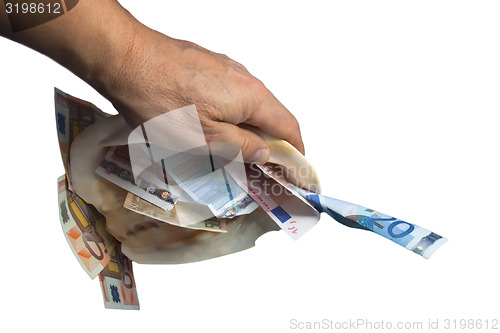 Image of a hand is holding a sea shell with money white background.