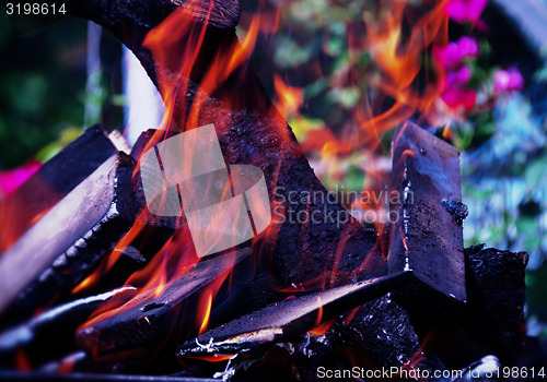 Image of dry firewood burns at the stake