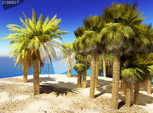 Image of Lush oasis landscape on desert
