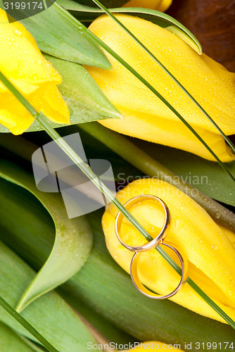 Image of wedding rings