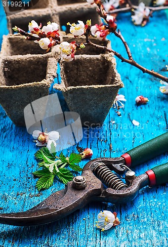 Image of garden tools 