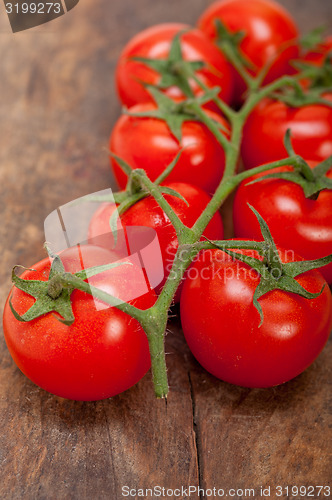 Image of fresh cherry tomatoes on a cluster