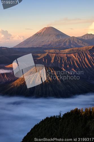 Image of Bromo volcano in Indonesia