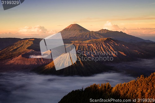Image of Bromo volcano in Indonesia