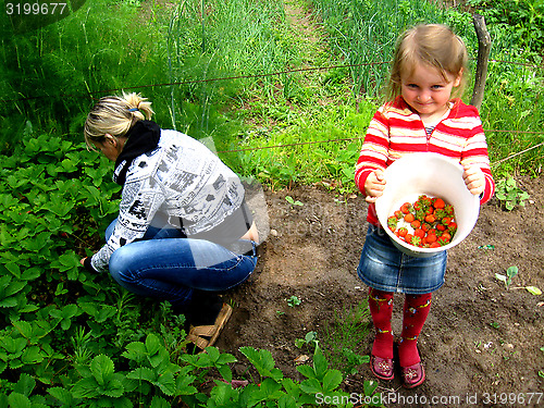 Image of Mother and daughter collect strawberry on a bed