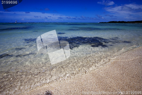 Image of beach  in ile du cerfs mauritius