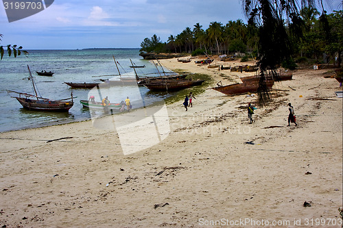 Image of  kizimkazy bay tanzania zanzibar