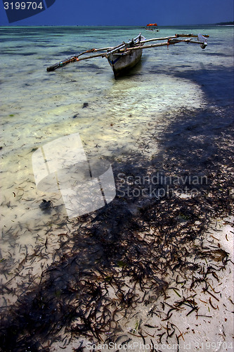 Image of beach seaweed  and boat in tanzania zanzibar
