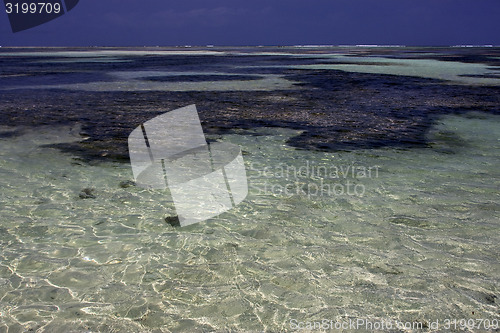 Image of beach and coastline in zanzibar