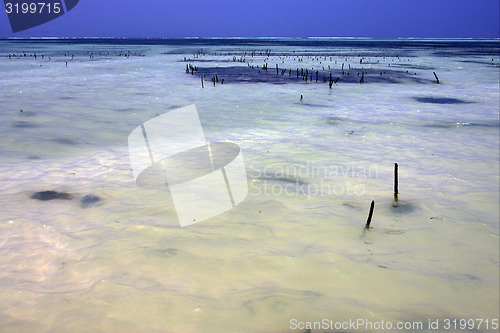 Image of wood in water