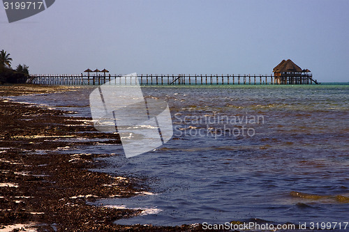 Image of  harbor in tanzania zanzibar