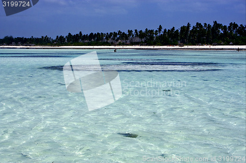 Image of coastline in zanzibar