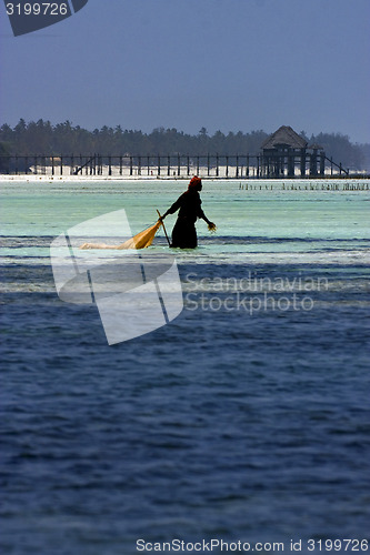 Image of masai  women in zanzibar