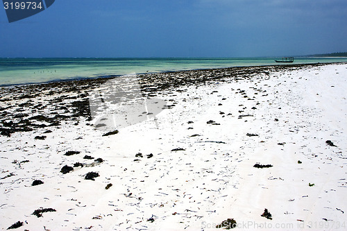 Image of seaweed and boat in tanzania