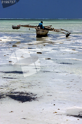 Image of beach seaweed and boat in zanzibar