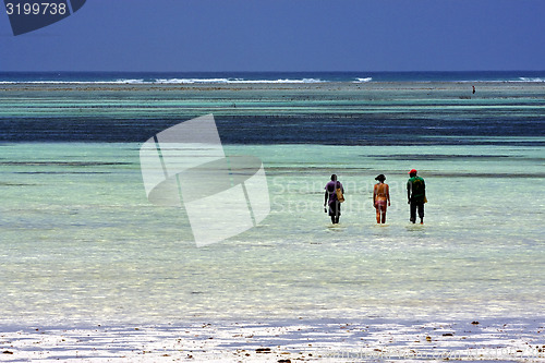Image of seaweed and people in zanzibar