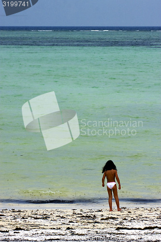 Image of seaweed and little  girl  in tanzania zanzibar