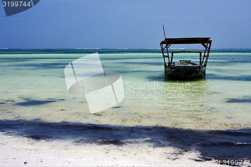 Image of beach seaweed and boat in tanzania