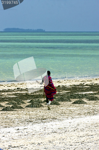 Image of  masai men