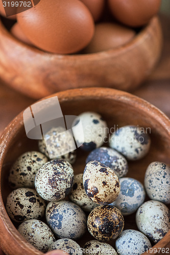 Image of Fresh eggs 