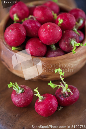 Image of harvest of ripe radish.