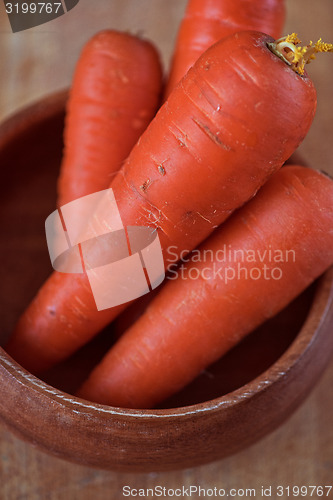 Image of ripe carrots
