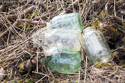 Image of Empty glass jars near the forest