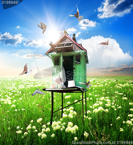 Image of Doves over dovecote